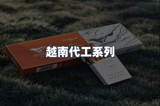 越南代工系列